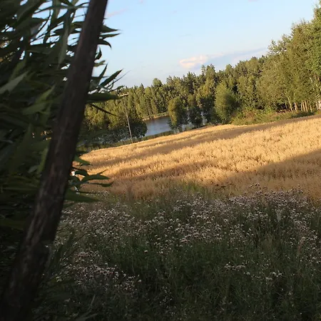 Farma Lamminmaen Tilat Joutsa